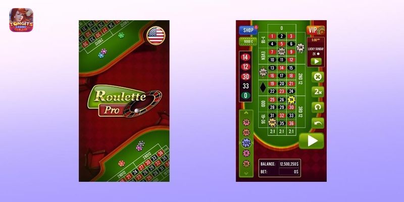 roulette wheel game