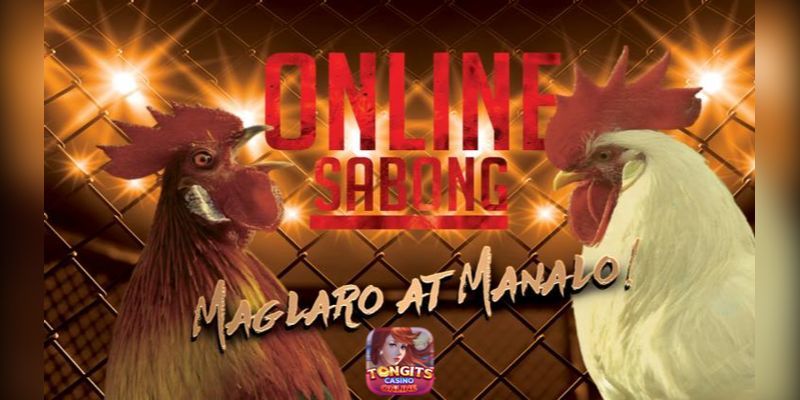 sabong 888 app