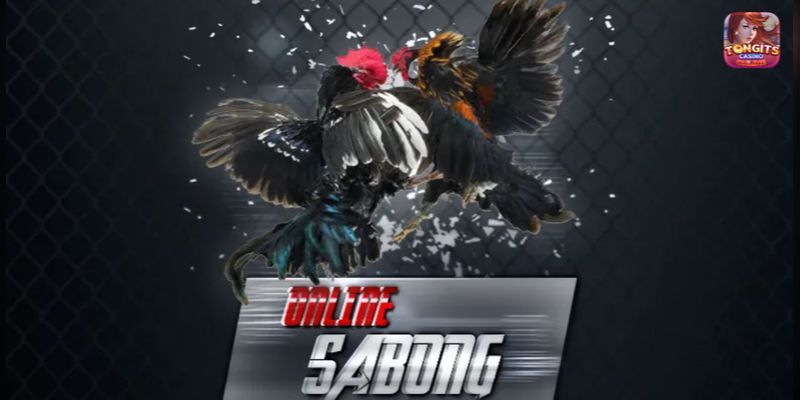 sabong express register